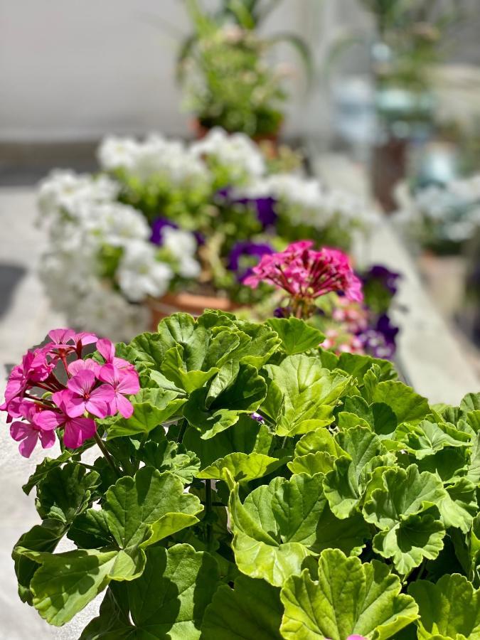 Violet'S Boutique Apartments Sarande Luaran gambar
