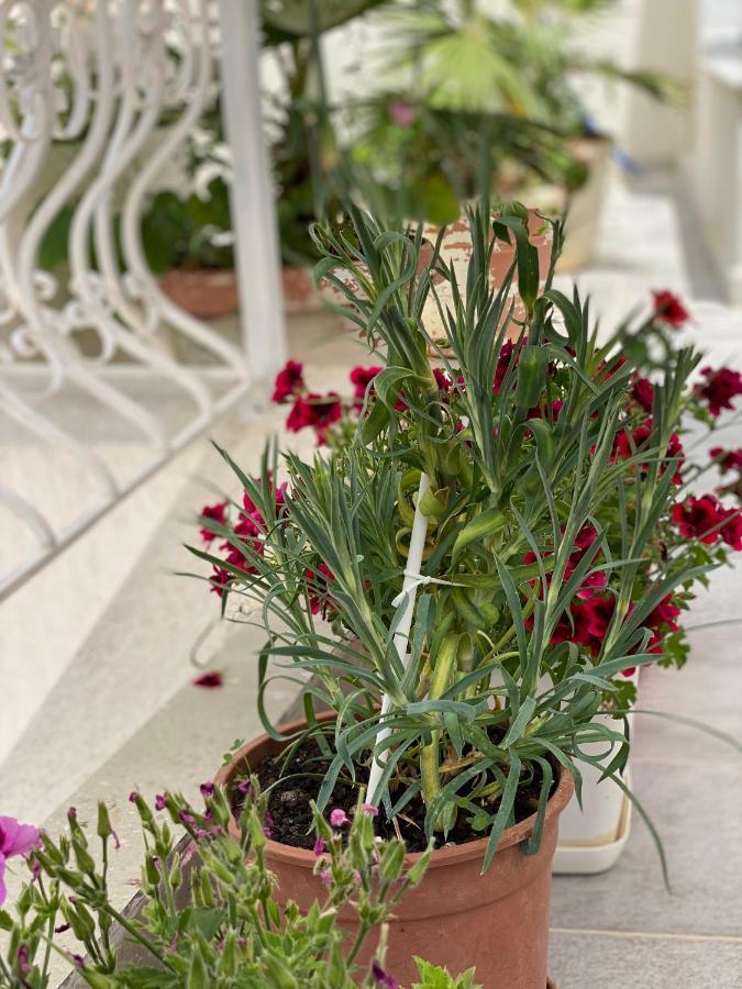 Violet'S Boutique Apartments Sarande Luaran gambar